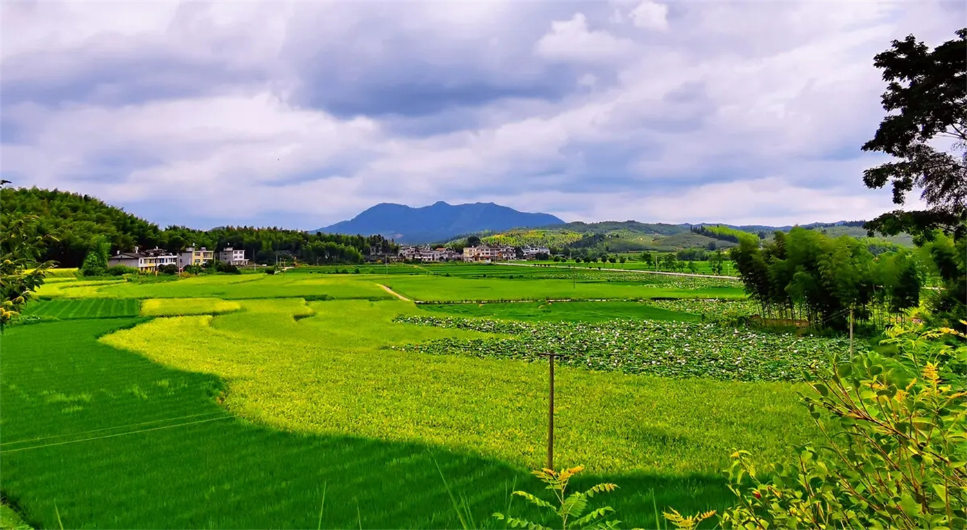 「永和集团」助力平桥土整 添彩美丽乡村